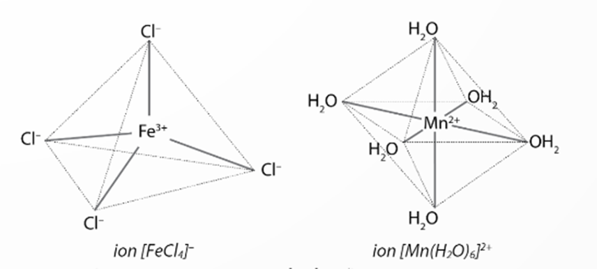 Biểu diễn dạng hình học của ion phức chất tứ diện [FeCl4]− và ion phức chất bát diện [Mn(H2O)6]2+. (ảnh 1)