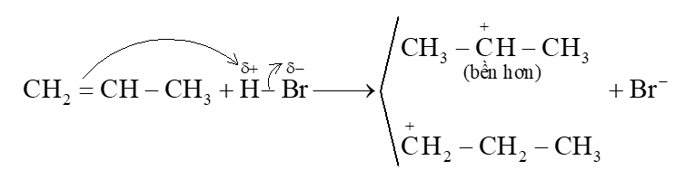 Giải thích vì sao propene cộng hợp với HBr lại sinh ra sản phẩm chính là 2 – bromopropane (theo quy tắc Markovnikov). (ảnh 2)