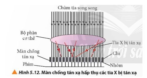 Quan sát Hình 5.12, giải thích vì sao màn chống tán xạ thường gồm những tấm chì được đặt xen kẽ với những tấm nhôm.   (ảnh 1)