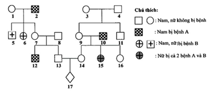 Sơ đồ phả hệ dưới đây mô tả hai bệnh di truyền ở người. Biết rằng mỗi bệnh do một gen có 2 alen (ảnh 1)