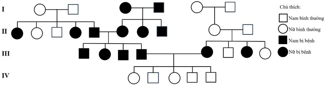 Phả hệ dưới đây mô tả sự di truyền của một bệnh ở người (ảnh 1)