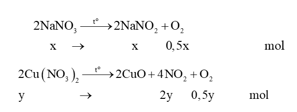 Nung nóng hoàn toàn 27,3 gam hỗn hợp chất rắn gồm \[NaN{O_3}\]và \[Cu{\left( {N{O_3}} \right)_2}\].  (ảnh 1)