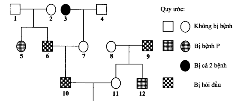 Biết rằng hai cặp gen quy định hai tính trạng nói trên phân li độc lập với nhau (ảnh 1)