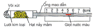 Hình bên mô tả thời điểm bắt đầu thí nghiệm phát hiện hô hấp ở thực vật. Thí nghiệm được thiết kế đúng chuẩn quy định. Dự đoán nào sau đây đúng về kết (ảnh 1)