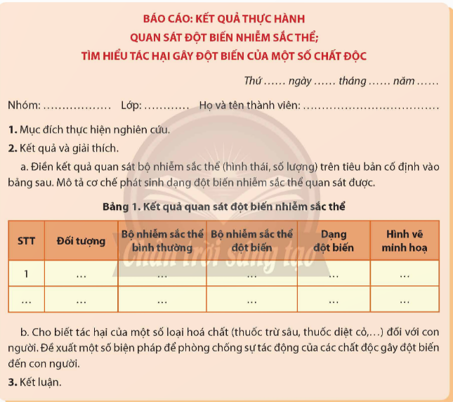 Viết và trình bày báo cáo theo mẫu: (ảnh 1)