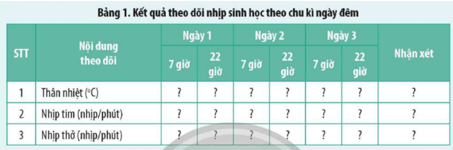 Hãy theo dõi nhịp sinh học theo chu kì ngày đêm của bản thân em trong ba ngày và ghi nhận (ảnh 1)