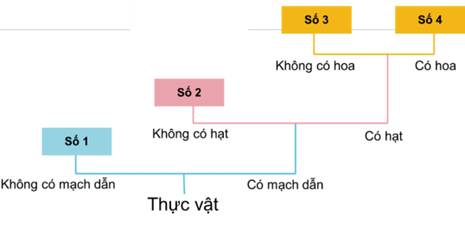 Quan sát hình vẽ, em hãy sắp xếp các cây vào bảng dựa vào sơ đồ trên:  Hãy cho biết ếch có bị chết ngạt không nếu cho nó vào lọ đầy nước, đầu chúc xuống dưới. Từ kết quả thí nghiệm, em rút ra kết luận gì về hô hấp của ếch?  (ảnh 3)