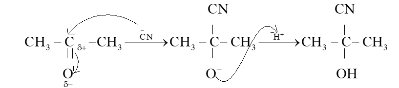 Viết cơ chế của phản ứng hoá học xảy ra giữa acetone với HCN. (ảnh 1)