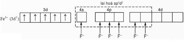 Mô tả sự hình thành phức chất theo thuyết liên kết hóa trị. Biết Fe có Z = 26. (ảnh 1)