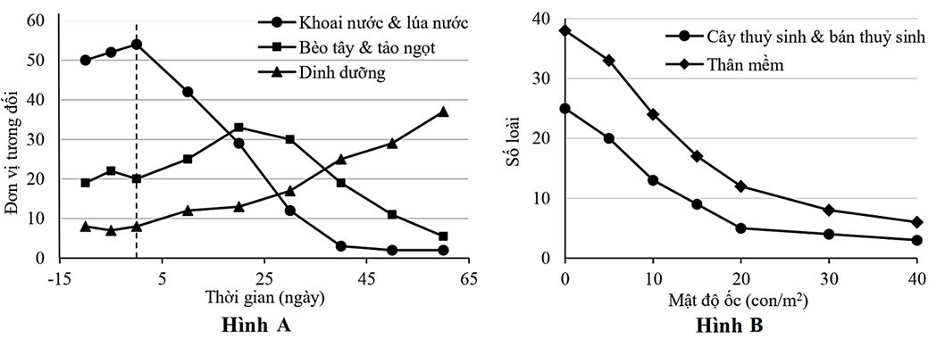 Ốc bươu vàng (Pomacea canaliculata) là loài ngoại lai có nguồn gốc từ Nam Mĩ được du nhập (ảnh 1)