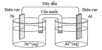 Trong các phát biểu sau:  (a) Các electron sẽ di chuyển qua cầu muối.  (b) Các ion sẽ đi qua dây dẫn.  (c) Phản ứng không tự phát (ảnh 1)