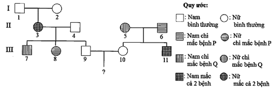 Bệnh P do 1 trong hai alen (A, a) của một gen quy định, bệnh Q do 1 trong hai alen (B, b)  (ảnh 1)