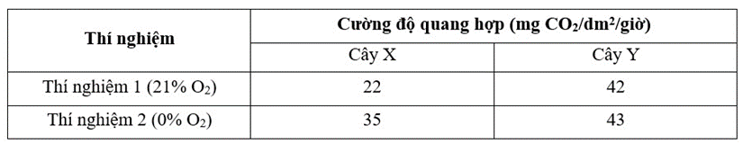 Một nhà sinh lý học thực vật đã làm một thí nghiệm sau (ảnh 1)