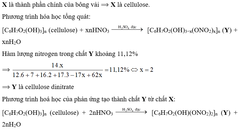 Chất X là thành phần chính của bông vải. Cho chất X tác dụng với hỗn hợp HNO3 và H2SO4 (ảnh 1)