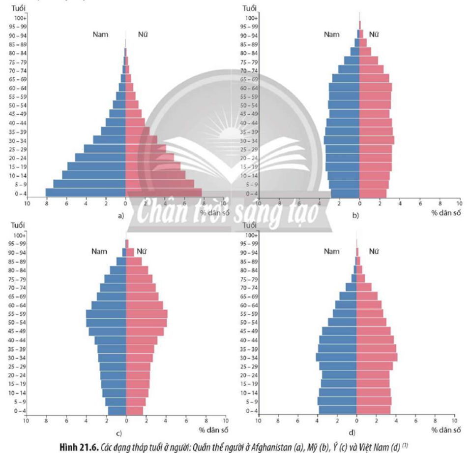 Quan sát Hình 21.6, hãy xác định các dạng tháp tuổi của một số quần thể người. Từ đó, cho biết trạng thái của mỗi quần thể. (ảnh 1)