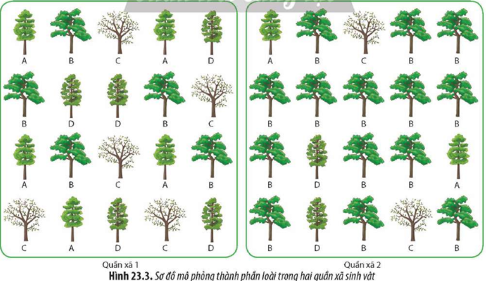 Quan sát Hình 23.3 và cho nhận xét về thành phần loài cây có trong hai quần xã. (ảnh 1)