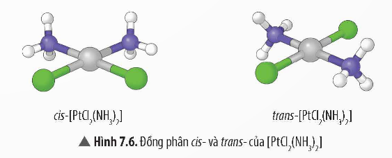 Dựa vào Hình 7.6 và 7.7, hãy nêu cách phân biệt đồng phân cis- và đổng phân trans- của phức chất. (ảnh 1)