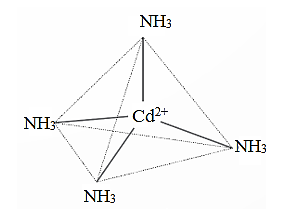 Theo thực nghiệm, phức chất [Cd(NH3)4]2+ có dạng hình học tứ diện. Hãy vẽ dạng hình học của phức chất này. (ảnh 1)