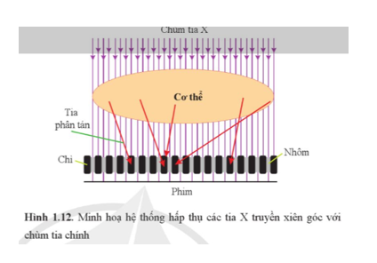 Dựa vào Hình 1.12, giải thích hoạt động của hệ thống làm tăng độ sắc nét của ảnh chụp bằng tia X.   (ảnh 1)