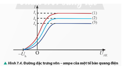 Quan sát Hình 7.4 và sắp xếp các đường đồ thị (1), (2), (3) theo thứ tự tăng dần của cường độ bức xạ điện từ kích thích.   (ảnh 1)