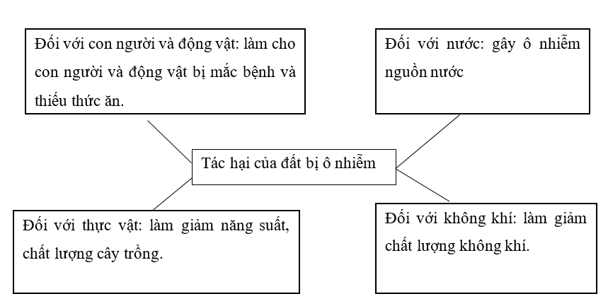 Hoàn thành sơ đồ về tác hại của đất bị ô nhiễm. (ảnh 2)