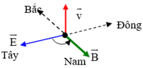 Tại Hà Nội, một máy đang phát sóng điện từ. Xét một phương truyền có phương thẳng đứng hướng lên. Vào thời điểm t, tại điểm M trên phương truyền, véctơ cảm ứng từ đang có độ lớn cực đại và hướng về phía Nam. Khi đó véctơ cường độ điện trường có (ảnh 1)