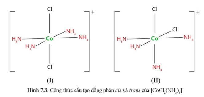 Chỉ ra đồng phân cis và trans của phức chất bát diện [CoCl2(NH3)4]+ ở Hình 7.3. (ảnh 1)