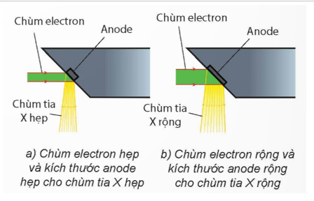 Dựa vào Hình 1.12, giải thích hoạt động của hệ thống làm tăng độ sắc nét của ảnh chụp bằng tia X.   (ảnh 2)