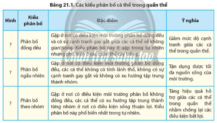 Quan sát Hình 21.7 và đọc thông tin trong Bảng 21.1, hãy: a) Cho biết nguyên nhân dẫn đến sự phân bố cá thể trong quần thể. b) Xác định các kiểu phân bố trong Hình 21.7 bằng cách hoàn thành Bảng 21.1. (ảnh 2)