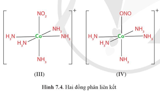 Vì sao nguyên tử N và một nguyên tử O trong anion NO2− đều có thể tạo liên kết cho – nhận với nguyên tử trung tâm như trong phức chất (III) hoặc (IV)? (ảnh 1)