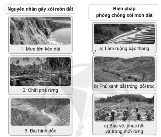 Nối nguyên nhân gay xói mòn đất với những biện pháp phòng chống xòi mòn đất phù hợp. (ảnh 1)