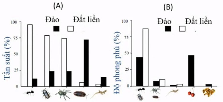 Quạ mỏ đỏ là loài chim ăn tạp, phân bố trên đảo và đất liền ở Tây Ban Nha (ảnh 1)