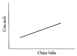 Biểu đồ nào sau đây phù hợp với quan điểm của nhà nghiên cứu 1 về mối quan hệ giữa số lượng con mồi với quần thể chim biển? (ảnh 1)