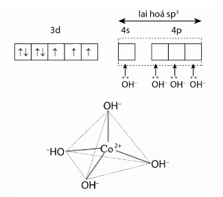 Mô tả sự hình thành liên kết, biểu diễn dạng hình học của các ion phức chất sau: a) Phức chất bát diện [Fe(H2O)6]3+; b) Phức chất tứ diện [CoBr4]2-. (ảnh 2)