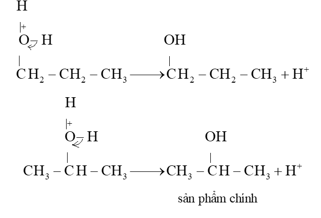 Viết phương trình hoá học của phản ứng cộng nước của propene (xúc tác H+). Giải thích quá trình tạo ra sản phẩm bằng cơ chế phản ứng. Chỉ ra sản phẩm chính của phản ứng. Giải thích. (ảnh 4)