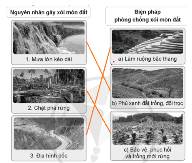 Nối nguyên nhân gay xói mòn đất với những biện pháp phòng chống xòi mòn đất phù hợp. (ảnh 2)