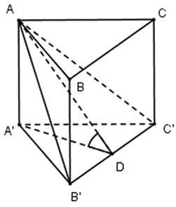 Cho hình lăng trụ đứng \(ABC.A'B'C'\) có đáy là tam giác cân tại \(A\) có \(AB = AC = 2a,\) \(\widehat {CAB} = 120^\circ .\) Mặt phẳng \(\left( {AB'C'} \right)\)  (ảnh 1)