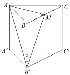Cho hình lăng trụ tam giác đều \(ABC.A'B'C'\) có \(AB = a\), đường thẳng \(AB'\) tạo với mặt phẳng \(\left( {BCC'B'} \right)\) một góc \(30^\circ .\)  (ảnh 1)