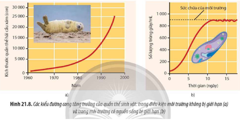 Quan sát Hình 21.8, hãy phân biệt hai kiểu tăng trưởng của quần thể sinh vật. (ảnh 1)
