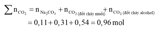 Hỗn hợp E chứa ba ester mạch hở (không chứa chức khác). Đốt cháy hoàn toàn m gam E cần dùng vừa đủ 1,165 mol \[{O_2}.\]Mặt khác, thủy phân hoàn toàn (ảnh 2)