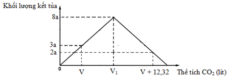 Hấp thụ hoàn toàn khí CO2 vào dung dịch Ca(OH)2 xM, khối lượng kết tủa tạo ra phụ thuộc vào thể tích khí CO2 (đktc) được biểu diễn bằng đồ thị sau:  Giá trị của a (gam) là (ảnh 1)