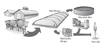 Hiện nay, nhiều nơi ở nông thôn đang sử dụng hầm biogas để xử lí chất thải trong chăn nuôi gia súc, đồng thời cung cấp nhiên liệu cho việc đun nấu. Chất dễ cháy trong thành phần chính của khí biogas là (ảnh 1)