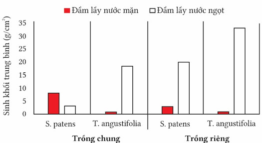 Hầu hết các vùng đất nông nghiệp trù phú nằm trong vùng trũng và bị đe dọa  (ảnh 2)