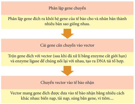 Hãy vẽ sơ đồ phác thảo ba bước của một quy trình công nghệ (ảnh 1)