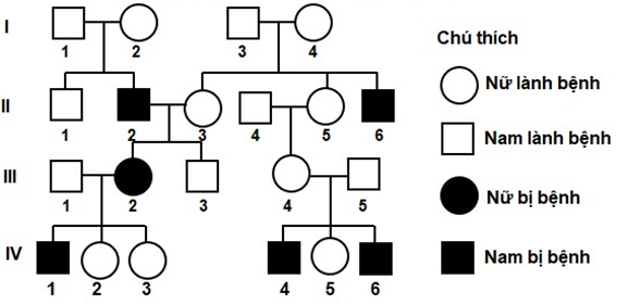 Bệnh Charcot-Marie-Tooth (CMT) gây tác hại lên thần kinh vận động và cảm giác (ảnh 1)