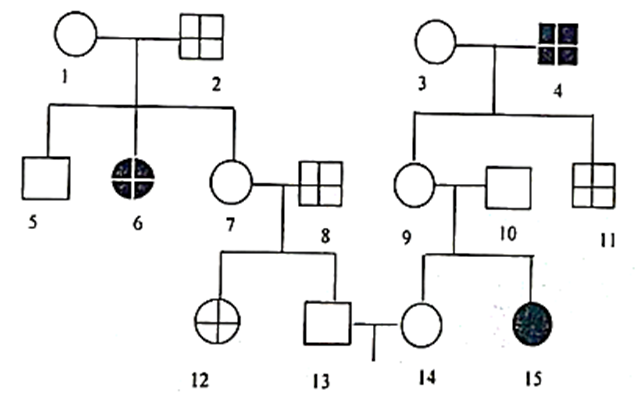 Sơ đồ phả hệ sau đây mô tả hai bệnh di truyền ở người. Biết mỗi bệnh do một gen có 2 alen (ảnh 1)