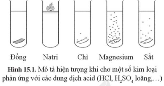 Quan sát hình 15.1, mô tả các hiện tượng thí nghiệm. Rút ra nhận xét về khả năng phản ứng của kim loại  (ảnh 1)