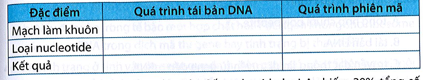 Hoàn thành bảng phân biệt quá trình tái bản DNA và quá trình phiên mã.  (ảnh 1)