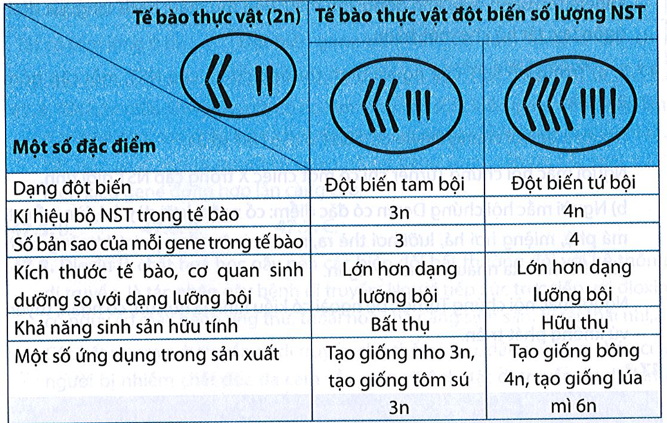 Vận dụng kiến thức đã học, hoàn thành thông tin trong bảng sau: (ảnh 3)