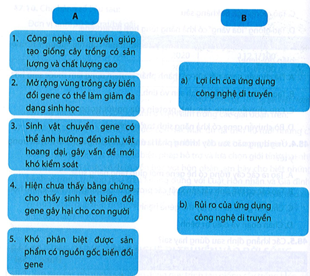 Ghép các thông tin ở cột A vào nhóm lợi ích hoặc rủi ro của ứng dụng công nghệ di truyền ở cột B cho phù hợp. (ảnh 1)